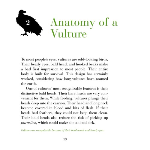 Cover for Vultures