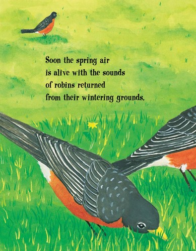Cover for Robins