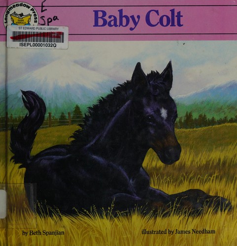 Cover for Baby Colt (Little Reader Farm Animals)