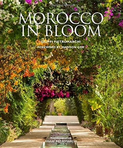 Cover for Morocco in Bloom