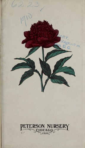 Cover for Peonies and iris [catalog]
