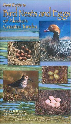 Cover for Field Guide to Bird Nests And Eggs of Alaska's Coastal Tundra