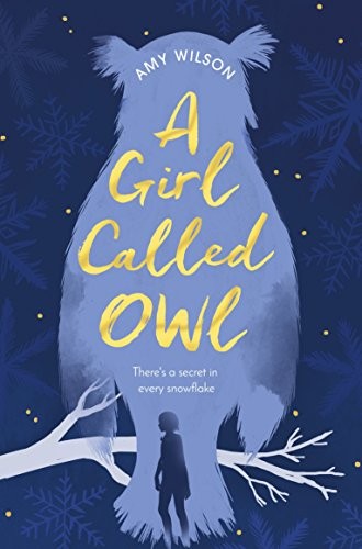 Cover for A Girl Called Owl