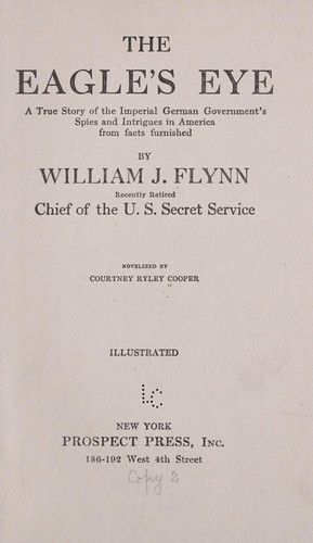 Cover for The eagle's eye