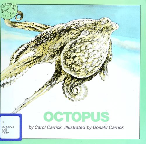 Cover for Octopus