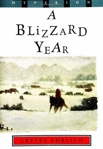 Cover for A Blizzard Year