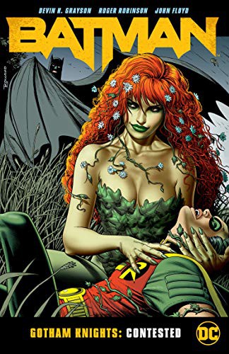 Cover for Batman : Gotham Knights