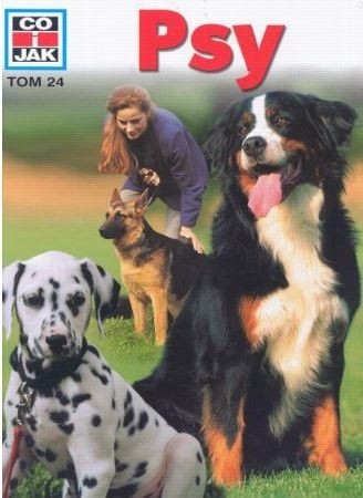 Cover for Psy