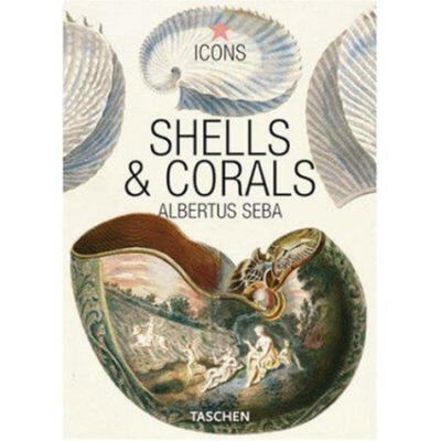 Cover for Shells & corals =