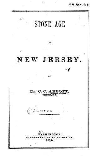 Cover for The Stone Age in New Jersey