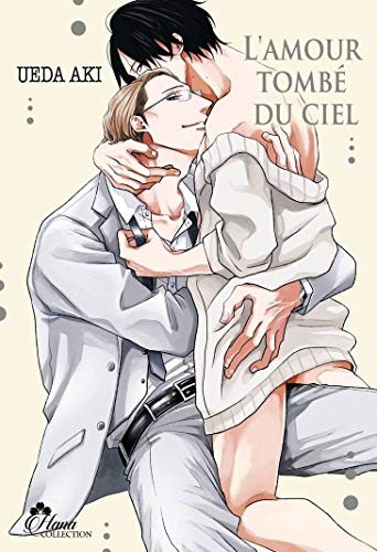 Cover for L'amour tombe du ciel