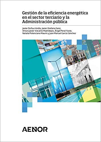 Cover for Gestión de la eficiencia energética en el sector terciario y la Administración pública
