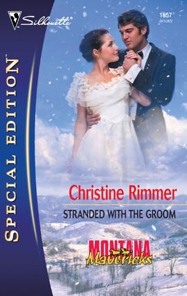 Cover for Stranded with the Groom