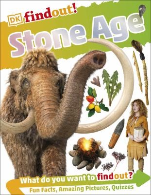 Cover for Stone Age
