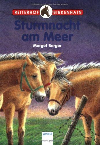Cover for Reiterhof Birkenhain 05. Sturmnacht am Meer.