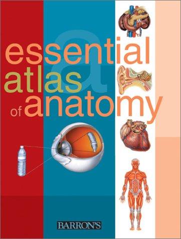 Cover for Essential atlas of anatomy.