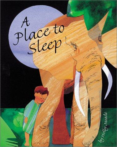 Cover for A place to sleep