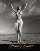 Cover for Heavenly Beauties