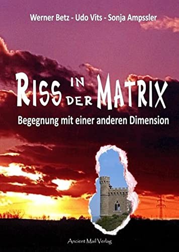 Cover for Riss in der Matrix