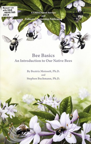 Cover for Bee basics