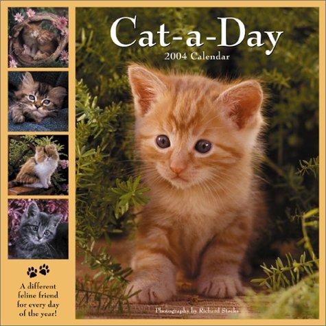 Cover for Cat-a-Day 2004 12-month Wall Calendar