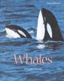 Cover for Whales (Animalways)