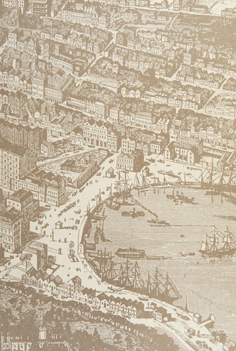 Cover for Life in the cities