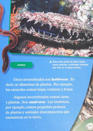 Cover for Los Invertebrados Increíbles