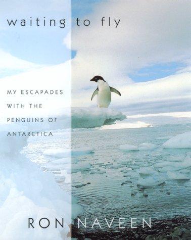 Cover for Waiting to fly