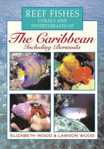 Cover for Reef Fishes Corals and Invertebrates of the Caribbean 