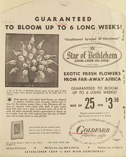 Cover for Guaranteed to bloom up to 6 long weeks!
