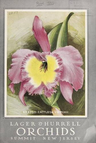 Cover for Orchids