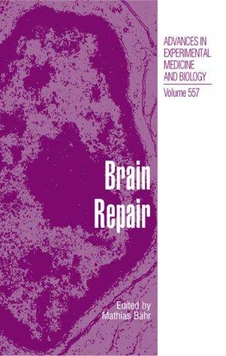 Cover for Brain Repair