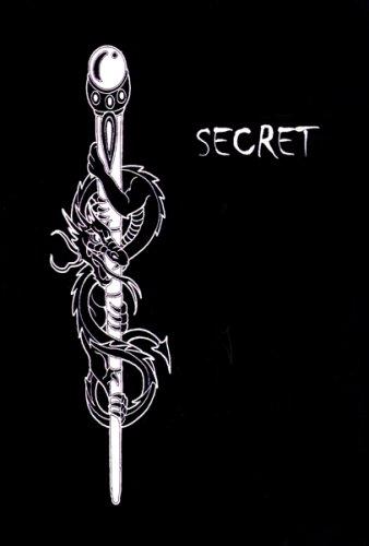 Cover for Secret Dragon Journal