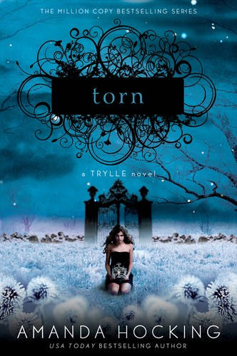 Cover for Torn