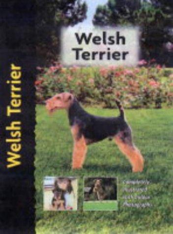 Cover for Welsh Terrier