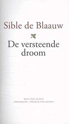 Cover for De versteende droom