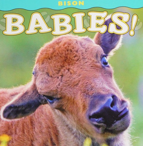 Cover for Bison babies!
