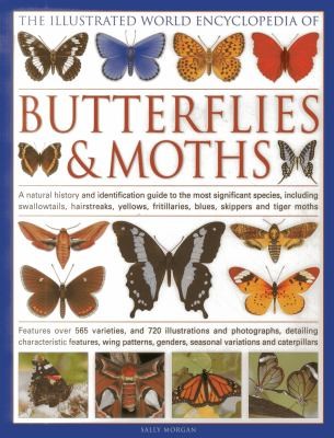 Cover for The Illustrated World Encyclopedia of Butterflies and Moths
