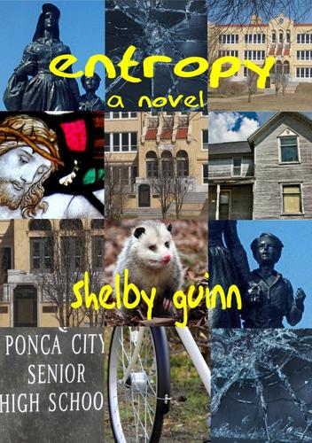 Cover for Entropy