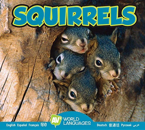 Cover for Squirrels