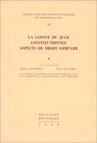 Cover for La saisine du juge constitutionnel