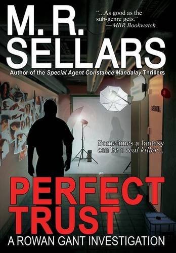 Cover for Perfect Trust: A Rowan Gant Investigation