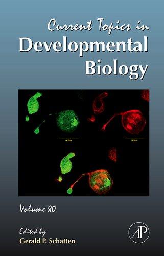 Cover for Current Topics in Developmental Biology, Volume 80 (Current Topics in Developmental Biology)