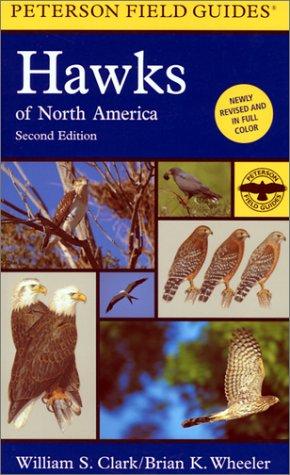 Cover for A Field Guide to Hawks of North America