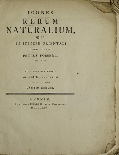 Cover for Icones rerum naturalium, quas in itinere Orientali depingi