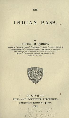 Cover for The Indian pass.