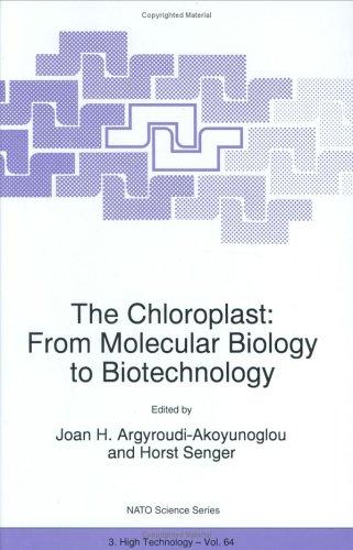 Cover for The Chloroplast: From Molecular Biology to Biotechnology (NATO Science Partnership Sub-Series: 3:)