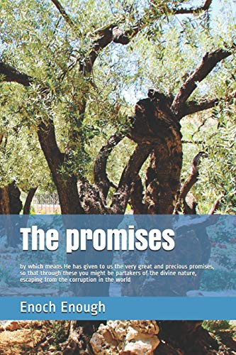 Cover for The promises