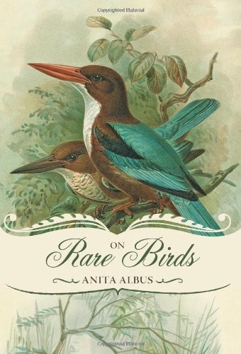 Cover for On Rare Birds